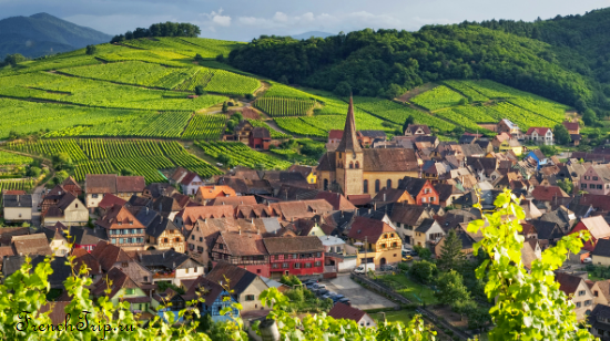 Винная дорога Эльзаса - Route des vins d'Alsace