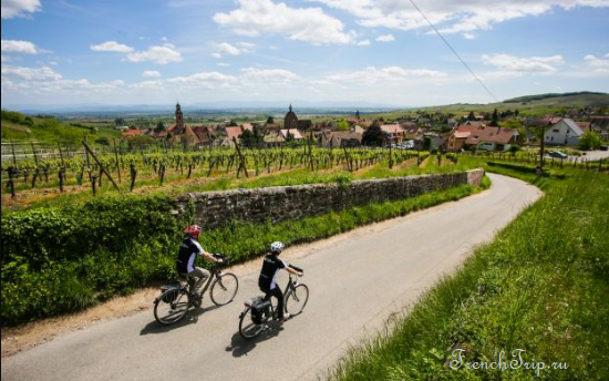 Винная дорога Эльзаса на велосипеде - 10 лучших велосипедных маршрутов по Франции