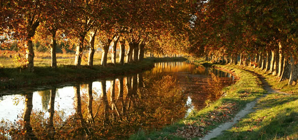 Canal du Midi, Самые красивые ландшафты Франции, Самые красивые места во Франции, природа, ущелья, виноградники, скалы, долины, куда стоит поехать во франции, лучшие места, зрелищные места Франции, Франция, города Франции, природа Франции, путеводитель по Франции, достопримечательности Франции