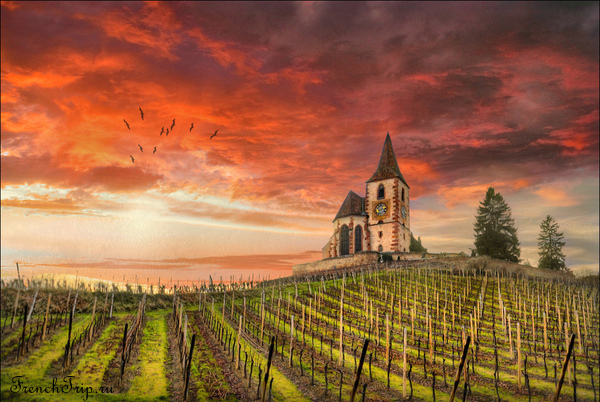 Hunawihr (Alsace) - Юнавир, винная дорога Эльзаса