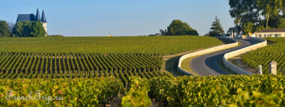 Виноградники Médoc (AOC) Medoc AOC vineyards - виноградники Медок - route-des-vins-medoc