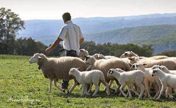 agneau fermier du Quercy Фижак