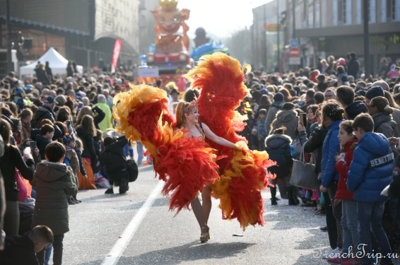 Карнавал Альби (Carnaval d'Albi)