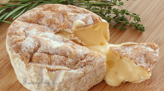 Camembert Calvados 10 лучших французских сыров