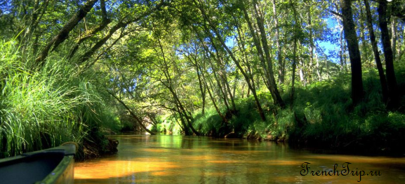 Parc Naturel Régional des Landes de Gascogne (Заповедник Ланды-де-Гасконь)