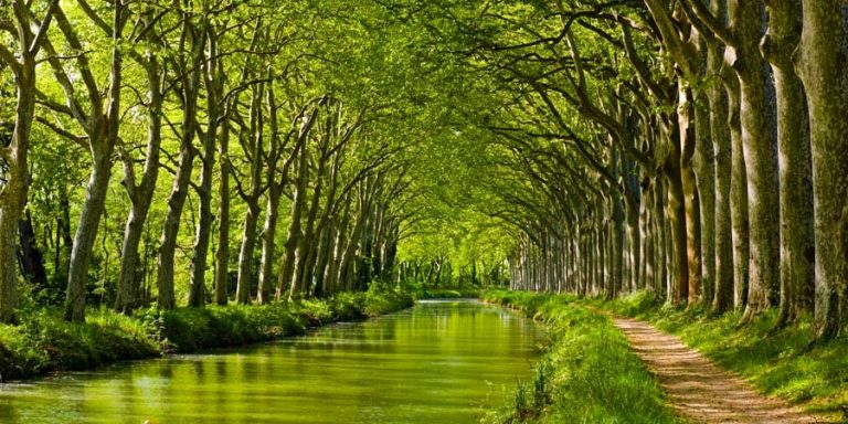 Canal du Midi (Канал дю Миди)