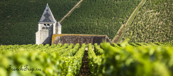 Chablis, Burgundy wine_vineyards_ Терруары бургундских вин - разновидности виноградников и качество вина. Где выращивают лучшие вина в Бургундии, виноградники в Бургундии, путеводитель по Бургундии, путеводитель по Франции, французские вина, бургундские вина, как определить качество вина, зависимость вкуса вина и расположения виноградника, зависимость вина от расположения виноградника, виноградники в Бургундии