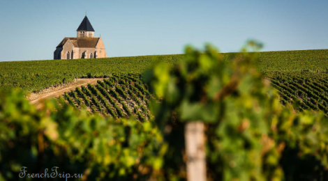 Chablis, Burgundy wine_vineyards_2