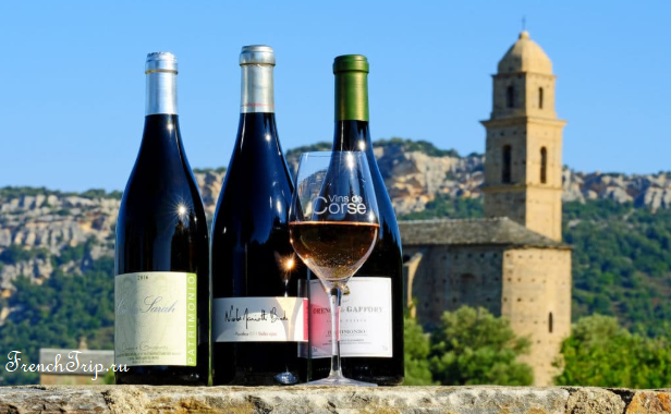 Corsica Wine