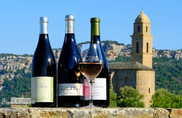 Corsica Wine