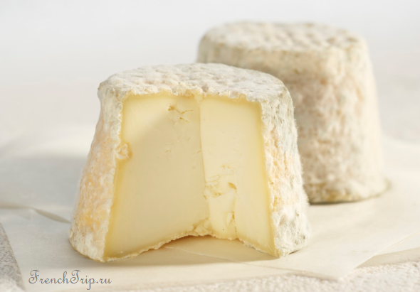 goat cheese mâconnais Козий сыр во Франции