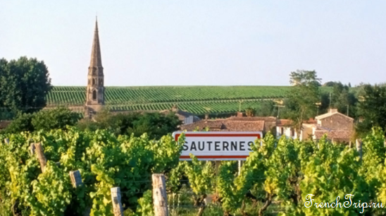 Bordeaux vineyards wine routes, Винные маршруты Бордо - карта - виноградники Бордо -vineyards Sauternes AOC - виноградники Сотерн, вина Сотерн