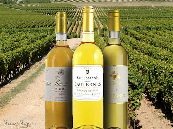 Bordeaux vineyards wine routes, Винные маршруты Бордо - карта - виноградники Бордо - wine Sauternes AOC - вина Сотерн-1