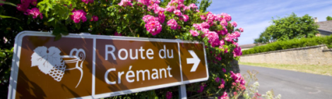 La route du crémant de Bourgogne (Маршрут Креман-де-Бургонь)