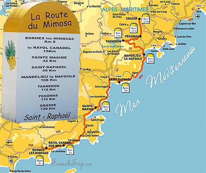 Route du Mimosa (Дорога мимозы), маршрут Мимозы - Лазурный берег Франции, туристические маршруты по Франции, маршруты по Провансу, маршруты по Лазурному берегу