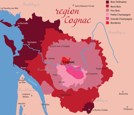 Винодельческий регион Коньяк - карта терруаров и виноградников - французский коньяк