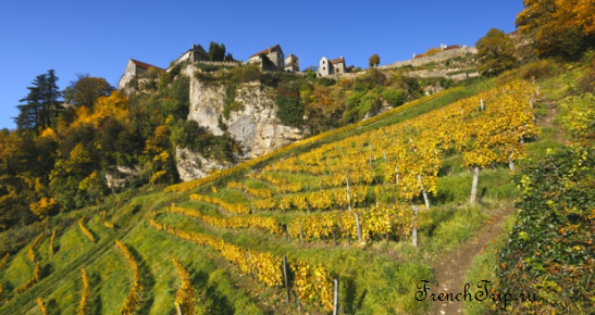 Chateau-Chalon vineyards Jura Franche-Comte Vin jaune du Jura