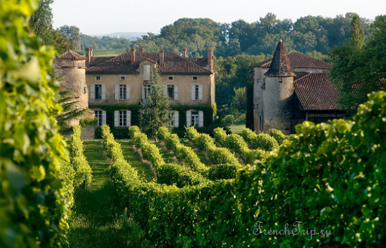 Виноградники Арманьяка - винные маршруты Франции - Самые красивые винные маршруты Франции