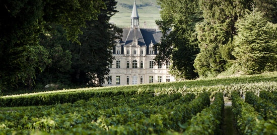 Château de Boursault vineyards champagne