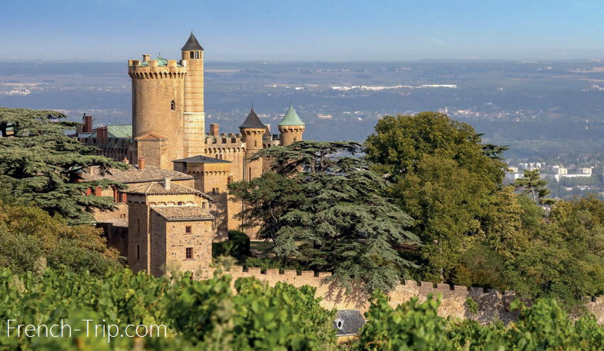 Beaujolais Château de Montmelas vineyards