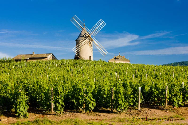 Beaujolais wine route - AOC Moulin-à-vent vineyards