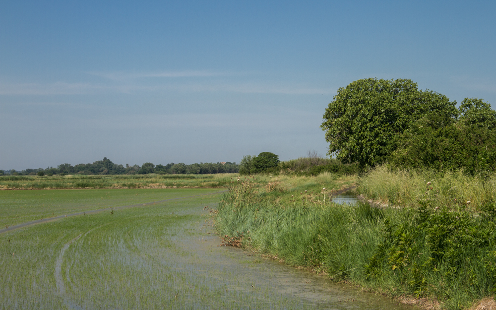 image bateau camargue
