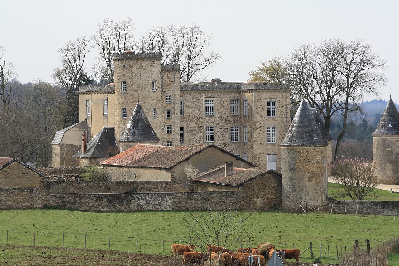 Château de Crosmières à Cussac -87-.JPG