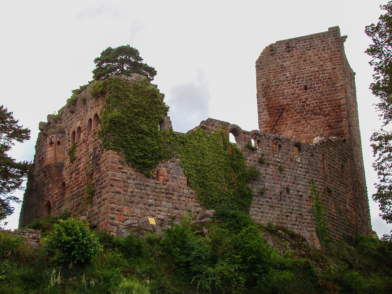 Château du Landsberg - Ruines.jpg
