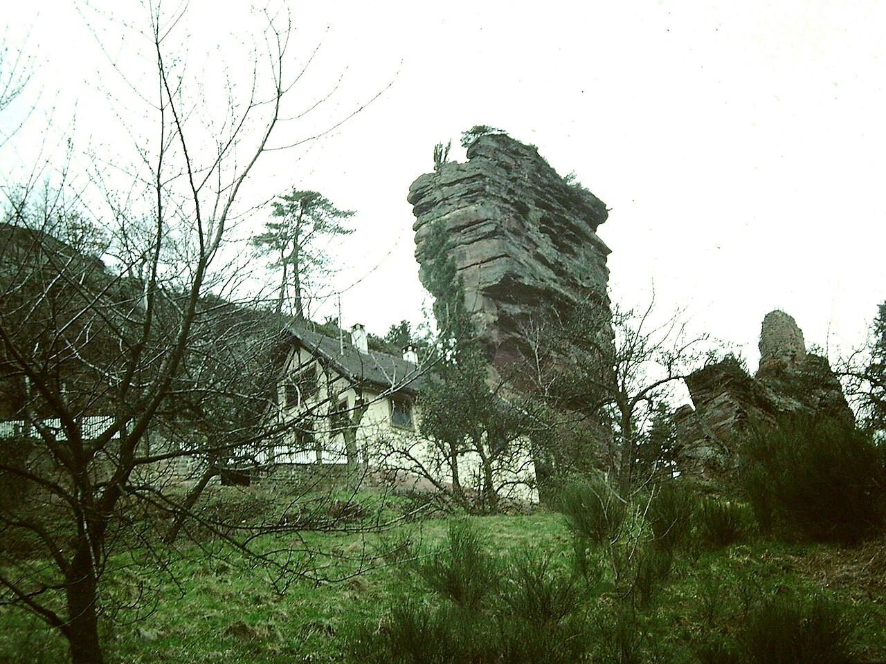 Château du Vieux Windstein.jpg