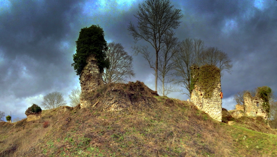 Chateau de Montfort sur Risle vu de la basse cour.jpg