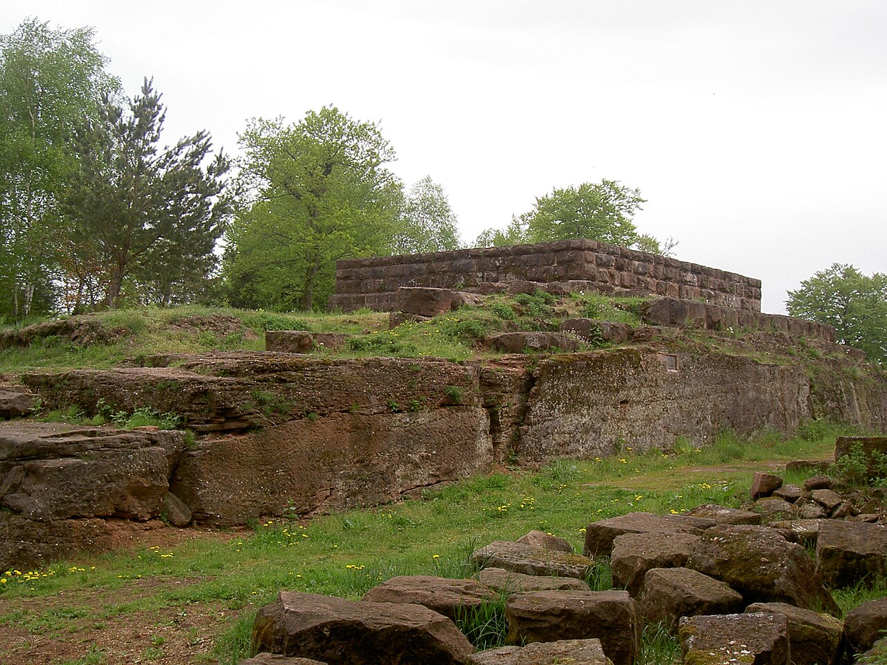 Chateau du Warthenberg 1.jpg