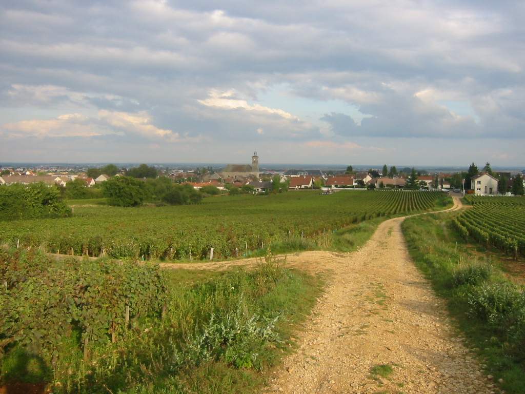 Вокруг Дижона - La Route des Grands Crus - Marsannay-la-Côte