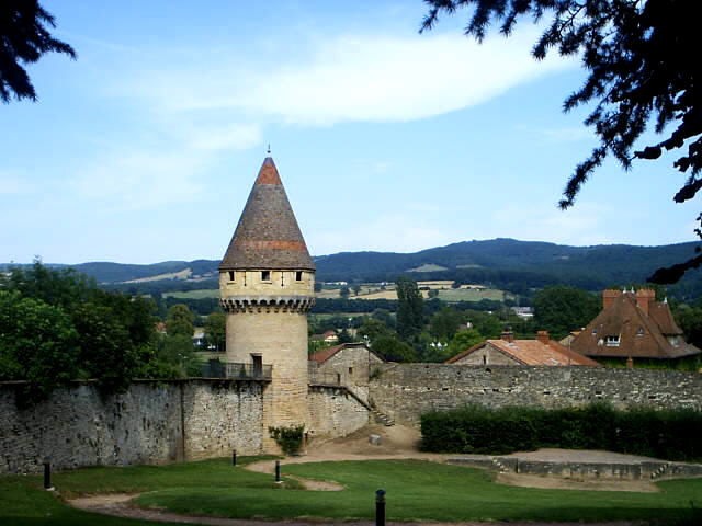 File:Cluny Tour Fabri du Parc Abbatial.jpg