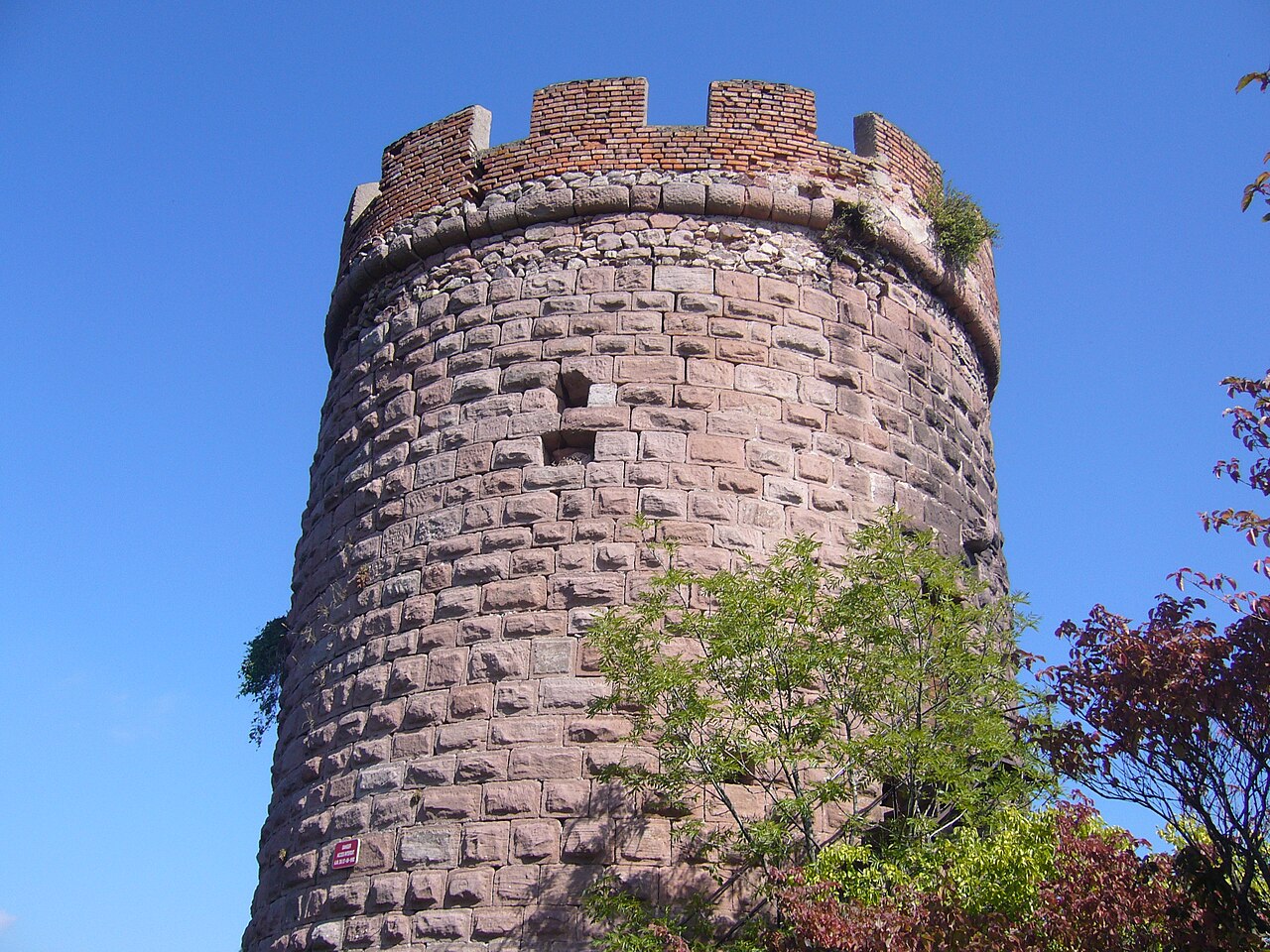 Château du Haut-Ribeaupierre, Ribeauvillé