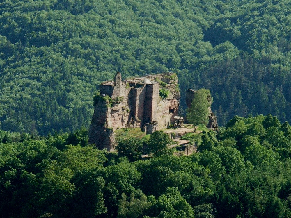 Fleckenstein.jpg