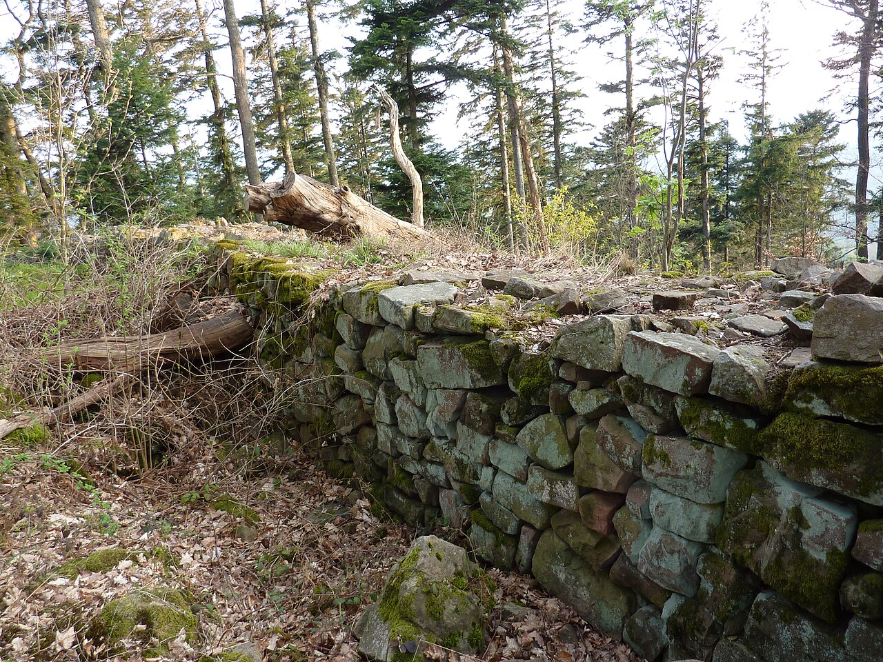 France Petit-Ringelstein west wall from inside.jpg