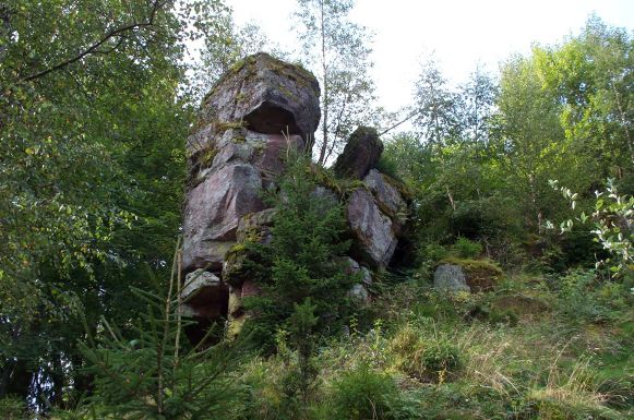 Ruine chateau de salm.jpg