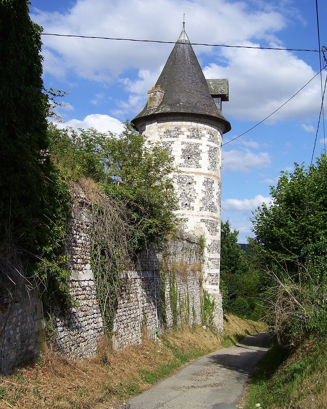 Tour du château fort de la baronnie.jpg